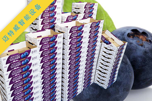 kaiyun.com官网果蔬盒自动折盒机